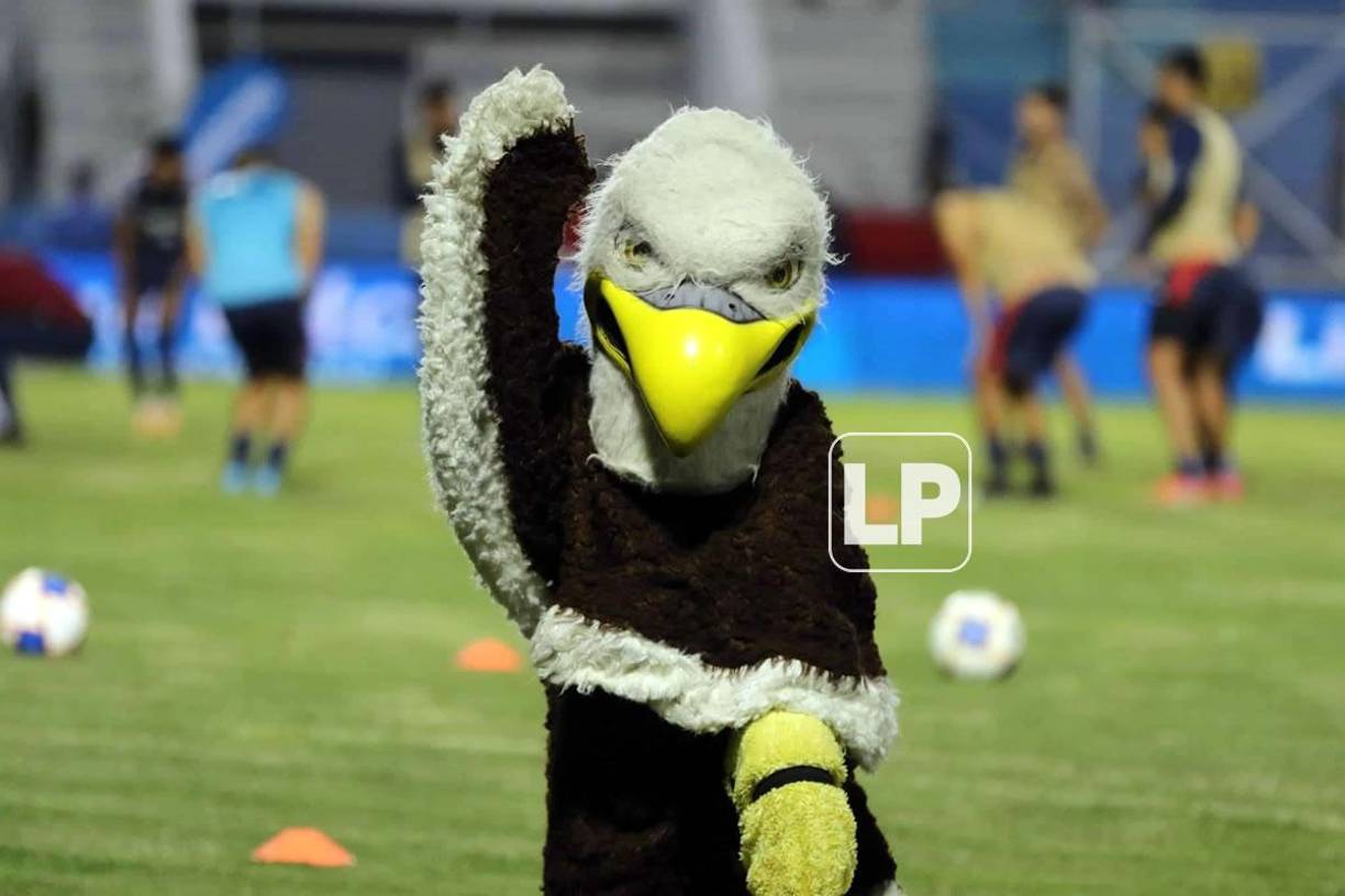 La mascota del Motagua no se perdió el clásico capitalino ante Olimpia.