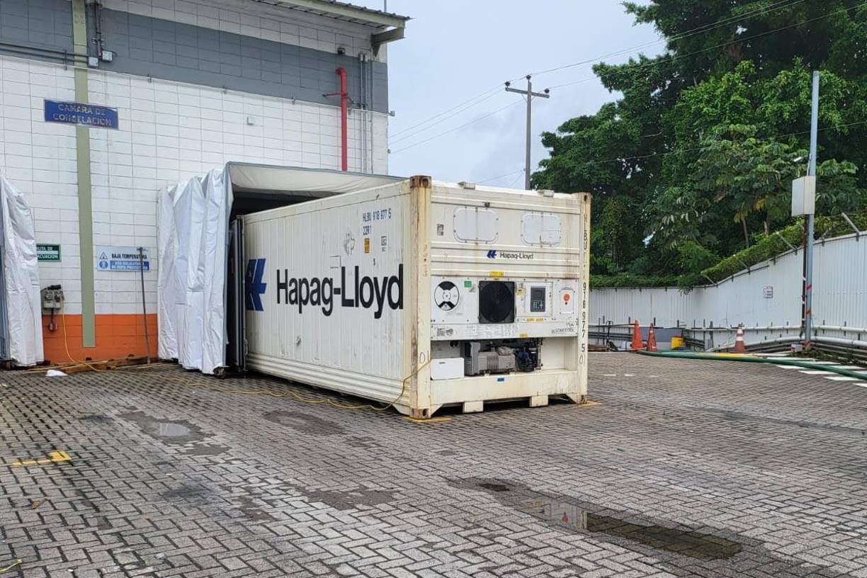 En el operativo conjunto acompañan a los fiscales, personal de Medicina Forense, Dirección Nacional Policial Antidrogas (DNPA), Administración Aduanera de Honduras, Dirección Nacional de Investigación e Inteligencia (DNII), Agencia de Regulación Sanitaria (ARSA) y la Operadora Portuaria Centroamericana (OPC).