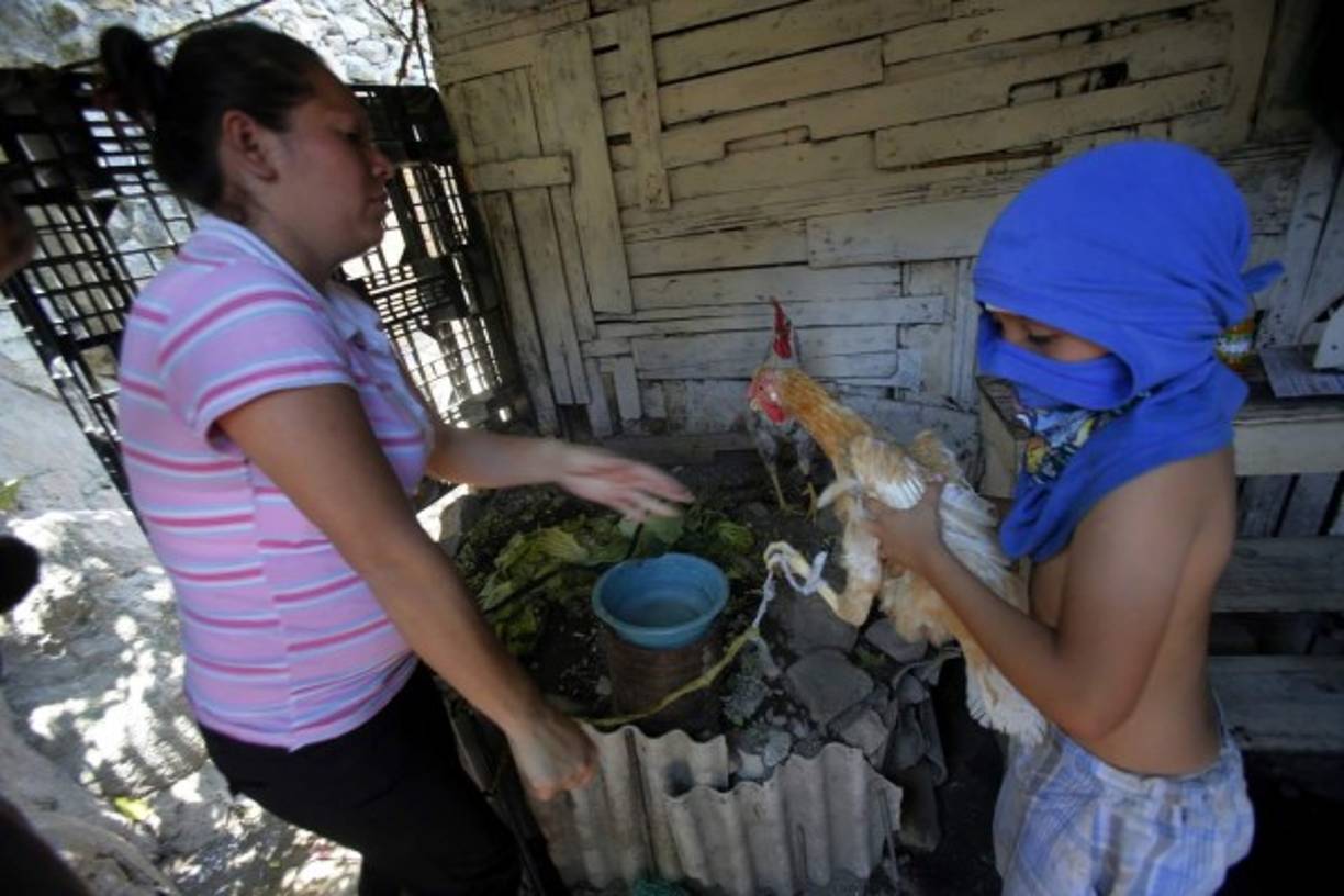 Hasta algunos animales fueron tomados por sus dueños al momento de hacer la mudanza forzada en Las Torres.