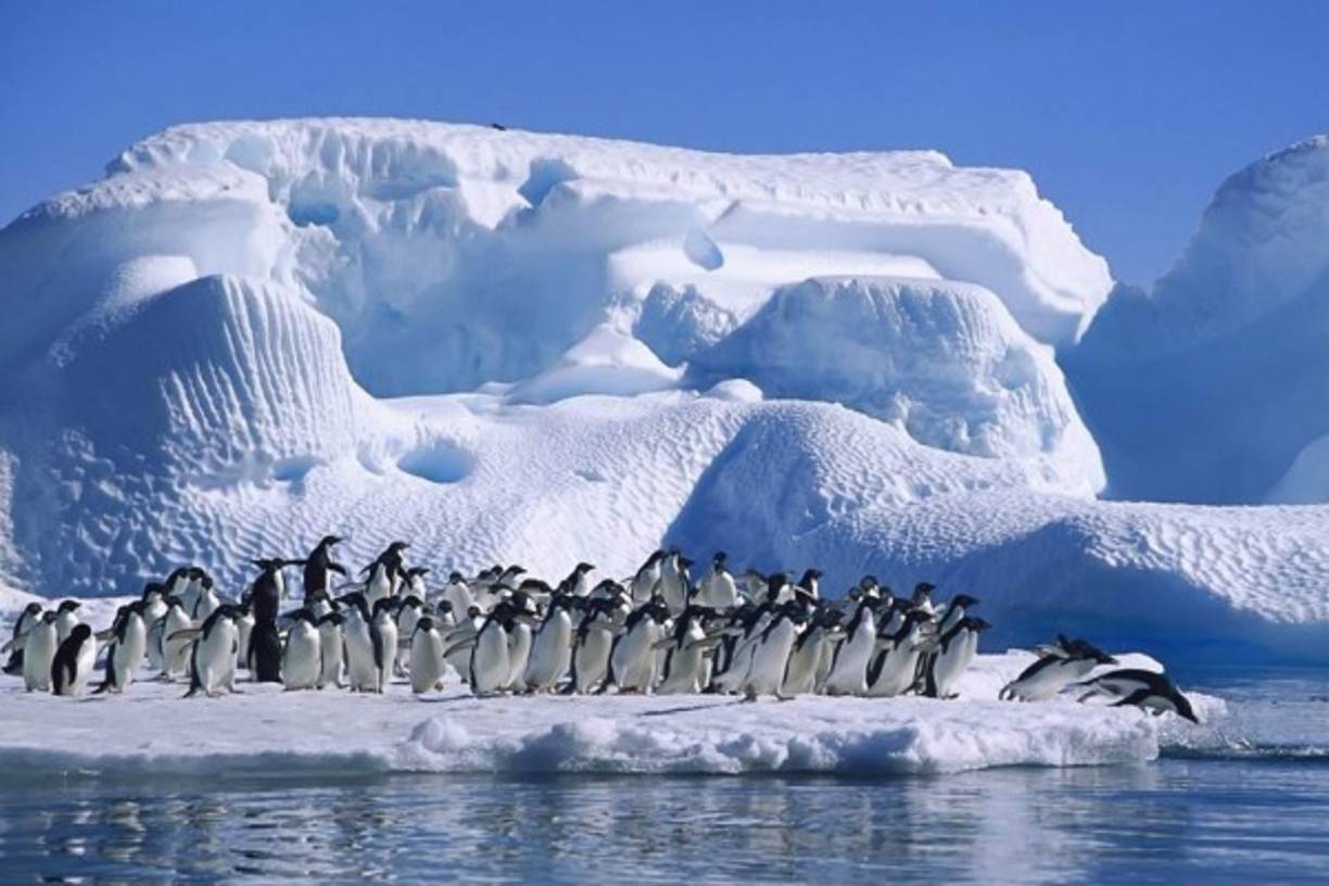 8. Retroceso de los glaciares<br/><br/>El retroceso de los glaciares se acelera rápidamente en distintas partes del mundo debido al calentamiento global, lo que supone una grave amenaza de inundaciones y desastres naturales, así como la pérdida de especies y acceso al agua natural.