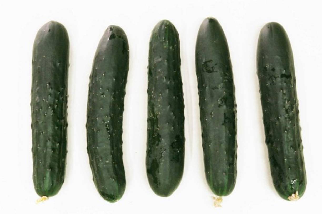 Existen distintos tipos de penes<br/><br/>En medicina se considera la existencia de dos tipos de penes: los que se expanden y crecen cuando llega la erección (un creciente) y los que parecen grandes todo el tiempo, pero apenas crecen cuando llega la erección (un exhibicionista).