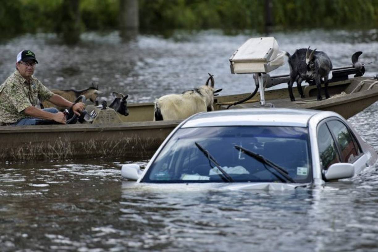 Días de intensas lluvias provocaron inundaciones históricas en el estado de Luisiana, en el sur de Estados Unidos. Las lluvias se prolongaron por más de 72 horas y dejaron un saldo de al menos 13 muertos y miles de damnificados.<br/>Más de 40.000 hogares quedaron dañados.