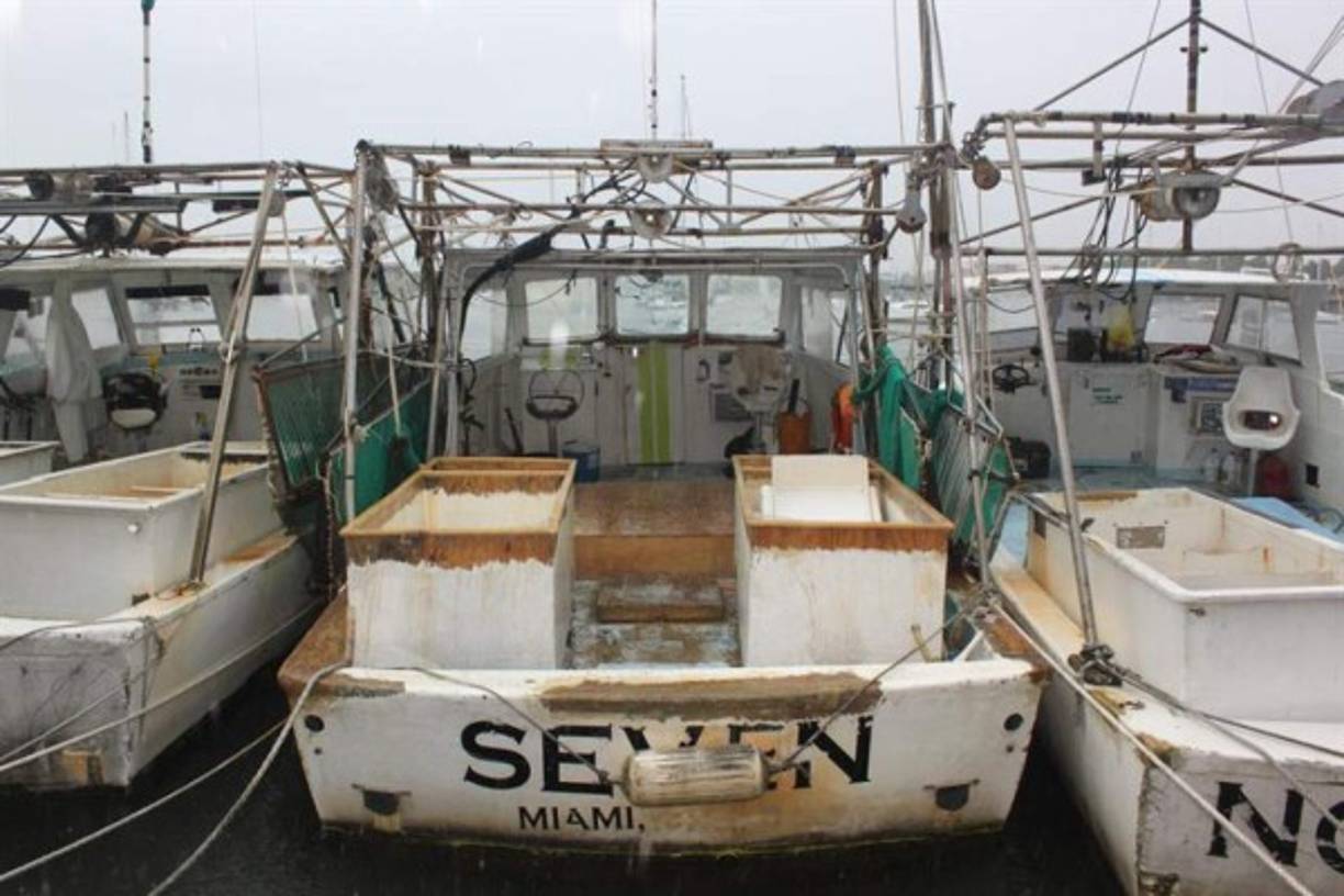 Estos barcos no pudieron salir a navegar, por lo que tuvieron que resguardarse en Coconut Grove.