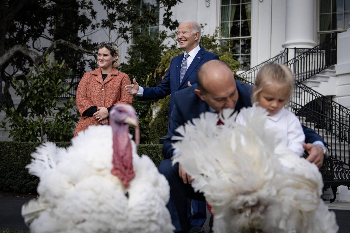 Cada año por estas fechas, unos 200 millones de pavos son sacrificados en Estados Unidos como plato estrella del Día de Acción de Gracias, que conmemora todos los años el cuarto jueves de noviembre un banquete compartido entre colonos ingleses e indígenas en 1621 para celebrar una buena cosecha.