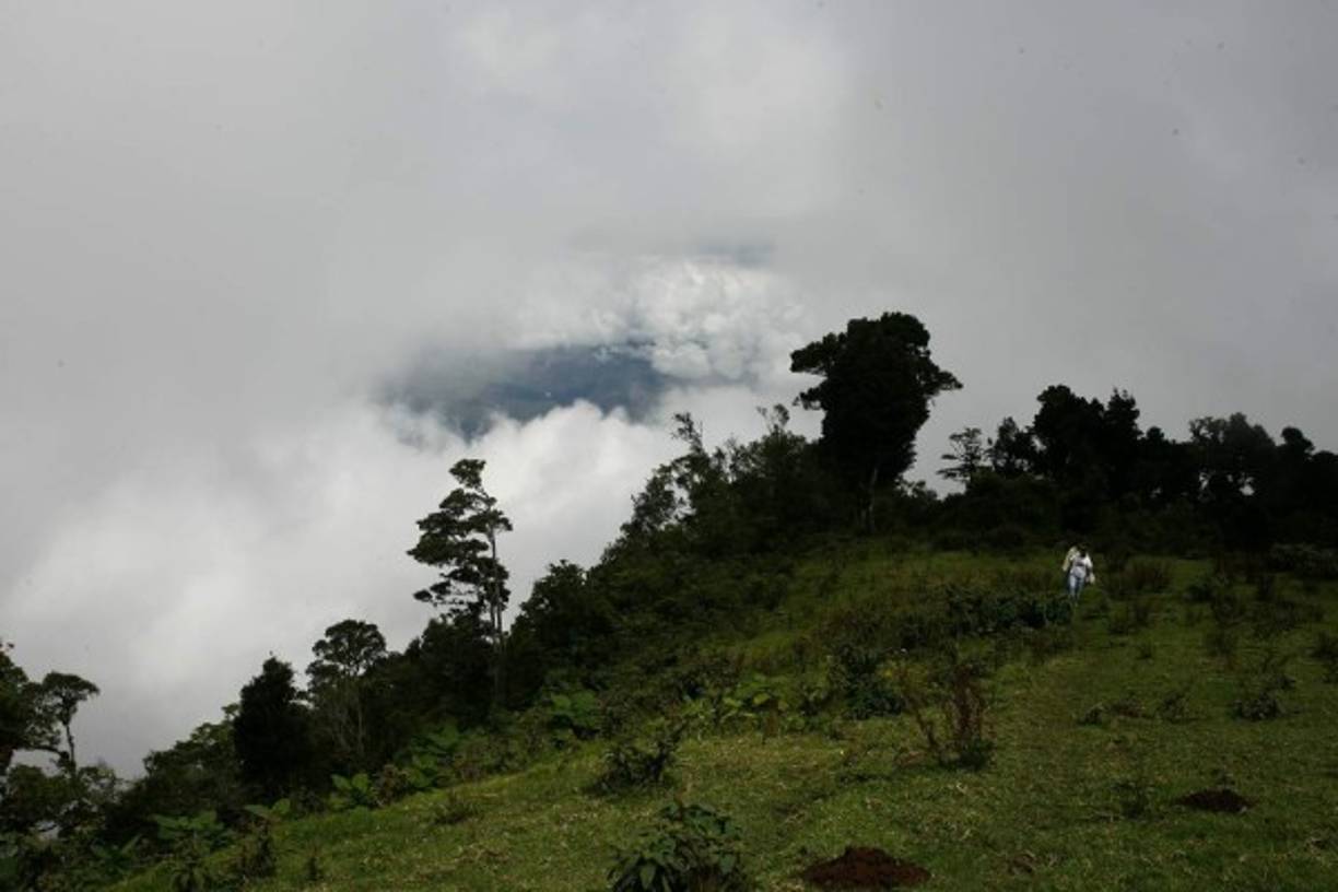 Esta es una vista en la montaña de la línea limítrofe entre Honduras y El Salvador, cerca de la reserva El Pital, en Ocotepeque.