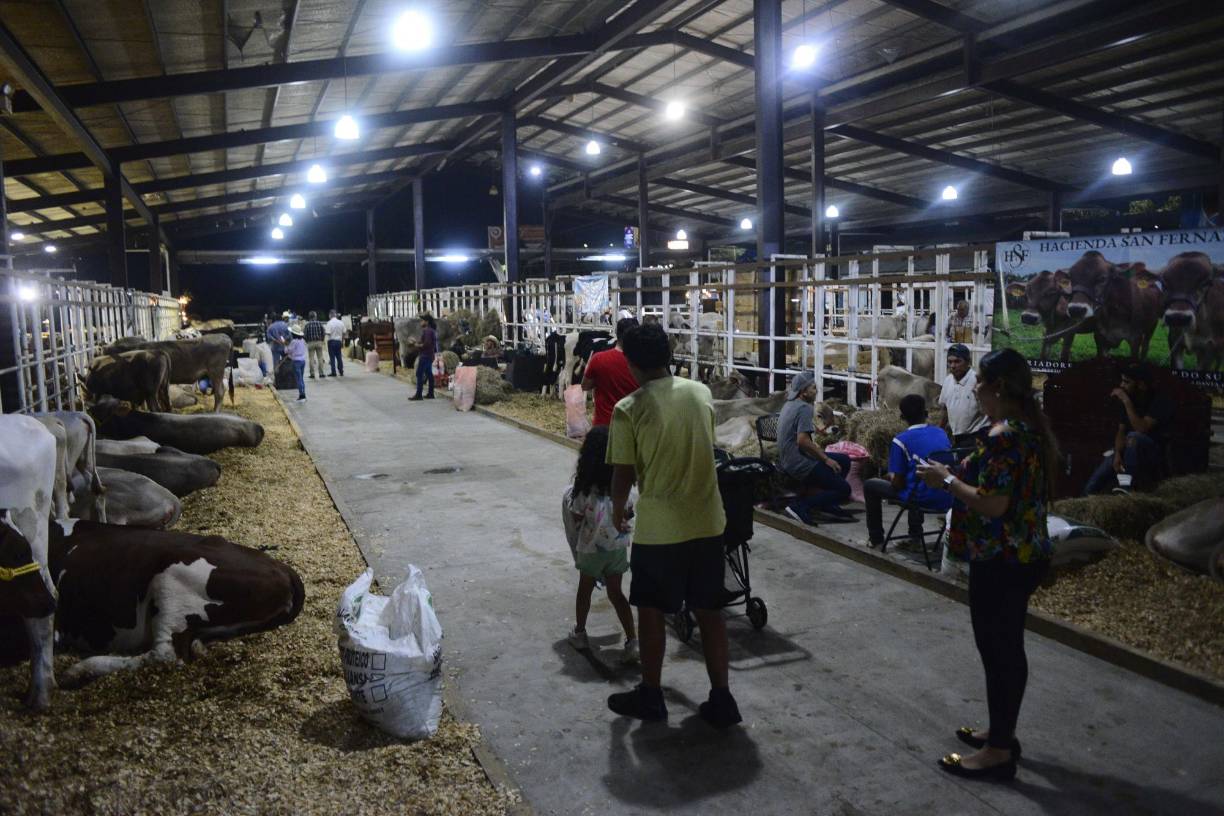 Sampedranos ya disfrutan del Campo Agas