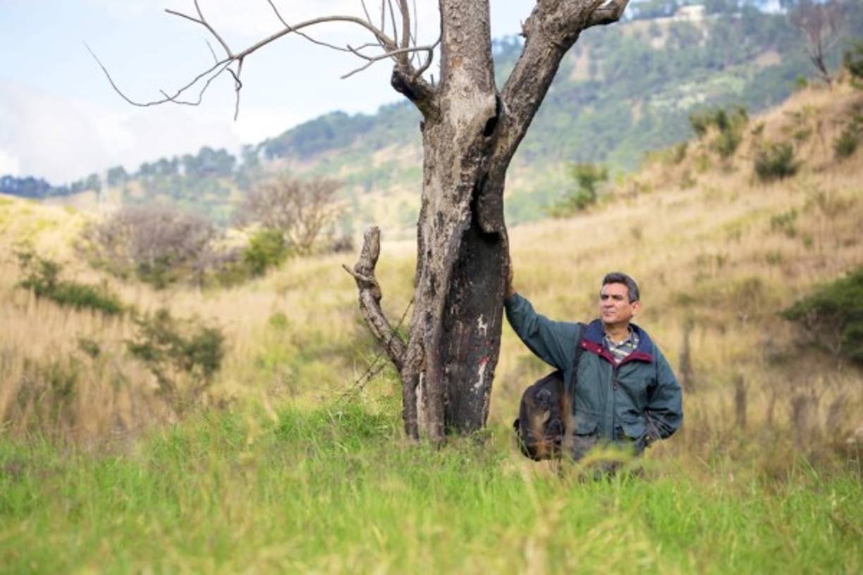 En medio del frío y la densa vegetación, siempre hay espacio para apreciar la naturaleza.