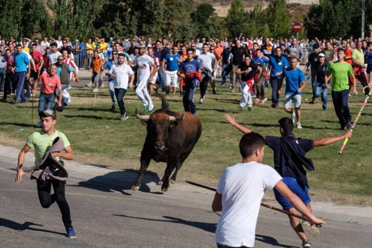 CORRIDAS. Huyendo del toro. Una multitud participa en el festival Toro de la Pena, antes conocido como Toro de la Vega, en el centro de la ciudad española de Tordesillas.