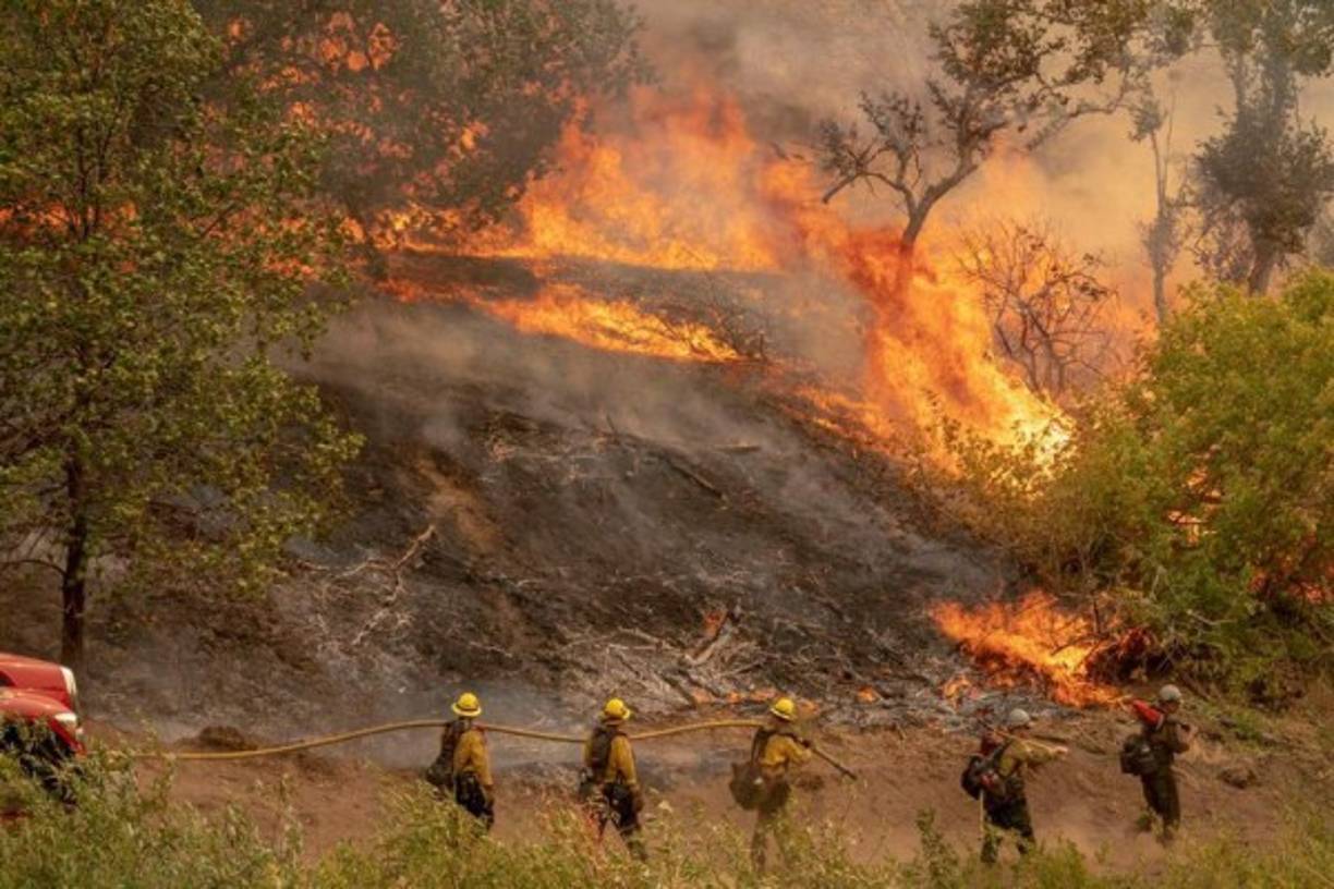 Docenas de personas que hacían excursiones por las montañas durante el feriado del Labor Day han quedado atrapadas entre las llamas por la rápida expansión del fuego y el jefe del Batallón de Bomberos de Fresno, Tony Escobedo, dijo que el humo obstaculizaba el trabajo de los helicópteros militares para rescatarlos.
