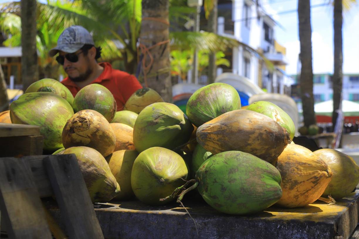 Y es que las deliciosas aguas de coco no pueden faltar en las playas para refrescar a los veraneantes.
