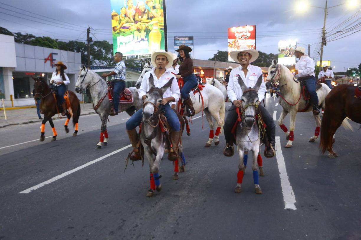 Los caballos pura sangre portaron distintivos en las patas para hacer notar sus pasos elegantes.