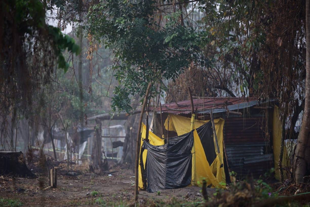 Pero ahora ya se observan casitas elaboradas con rampas de madera, nailon y láminas de zinc. 