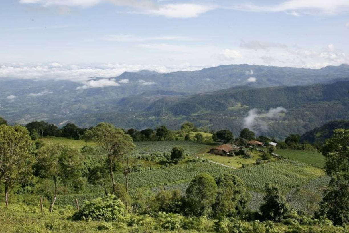 Vista desde la montaña en Plan del Rancho, Ocotepeque.