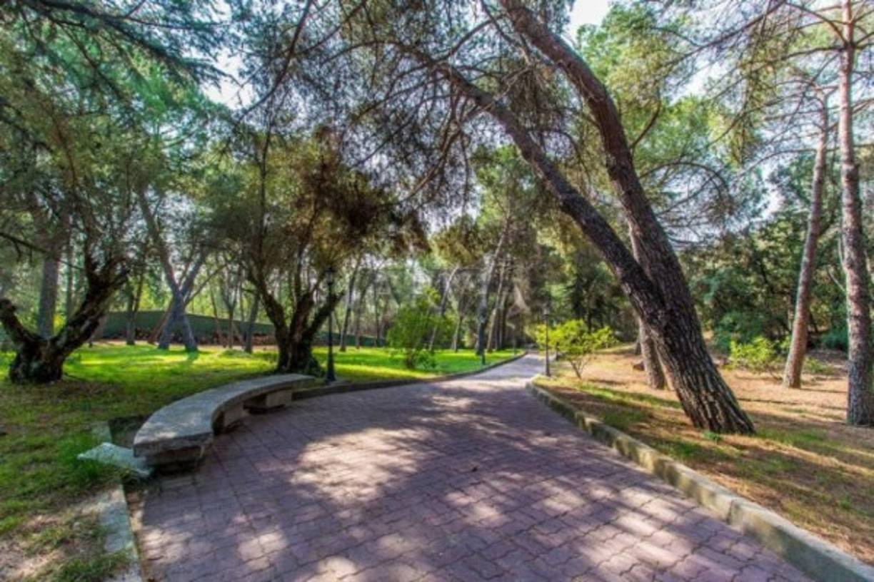 La vivienda cuenta en el interior con su propio jardín.