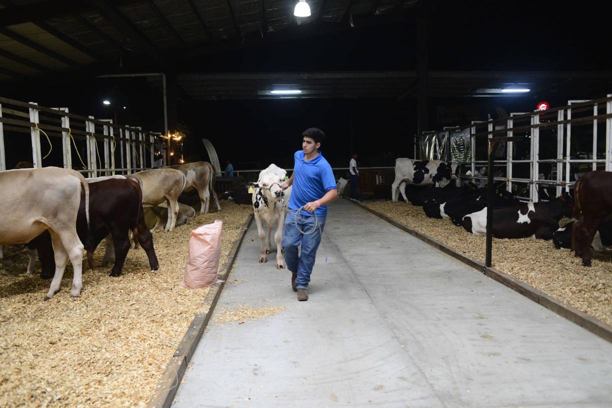 Sampedranos ya disfrutan del Campo Agas