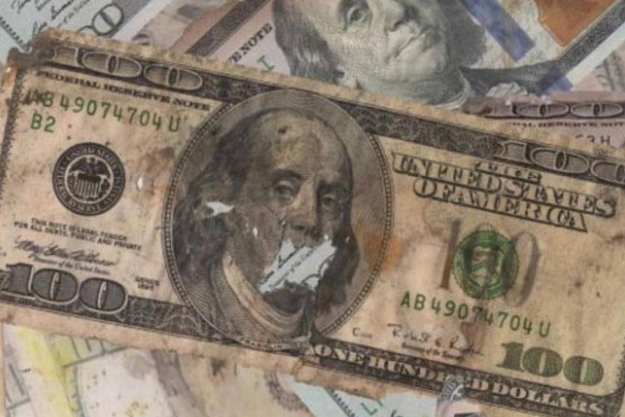 A partir de octubre de 2024, tiendas como Walmart, Dollar Tree, y Target en Estados Unidos dejaron de aceptar billetes de dólar en mal estado. 