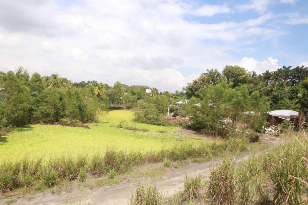 El 80% de los pobladores del valle de Sula están en riesgo ante las inundaciones de no iniciar con las obras mayores en los bordos.