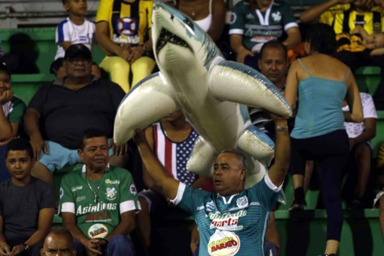 El Tiburón se hizo presente en las gradas del estadio Excélsior.