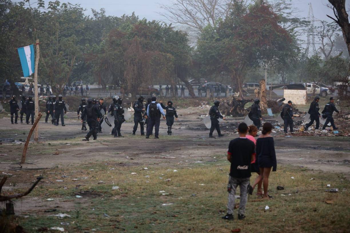 Los pobladores han cortado una gran cantidad de árboles en la zona. 