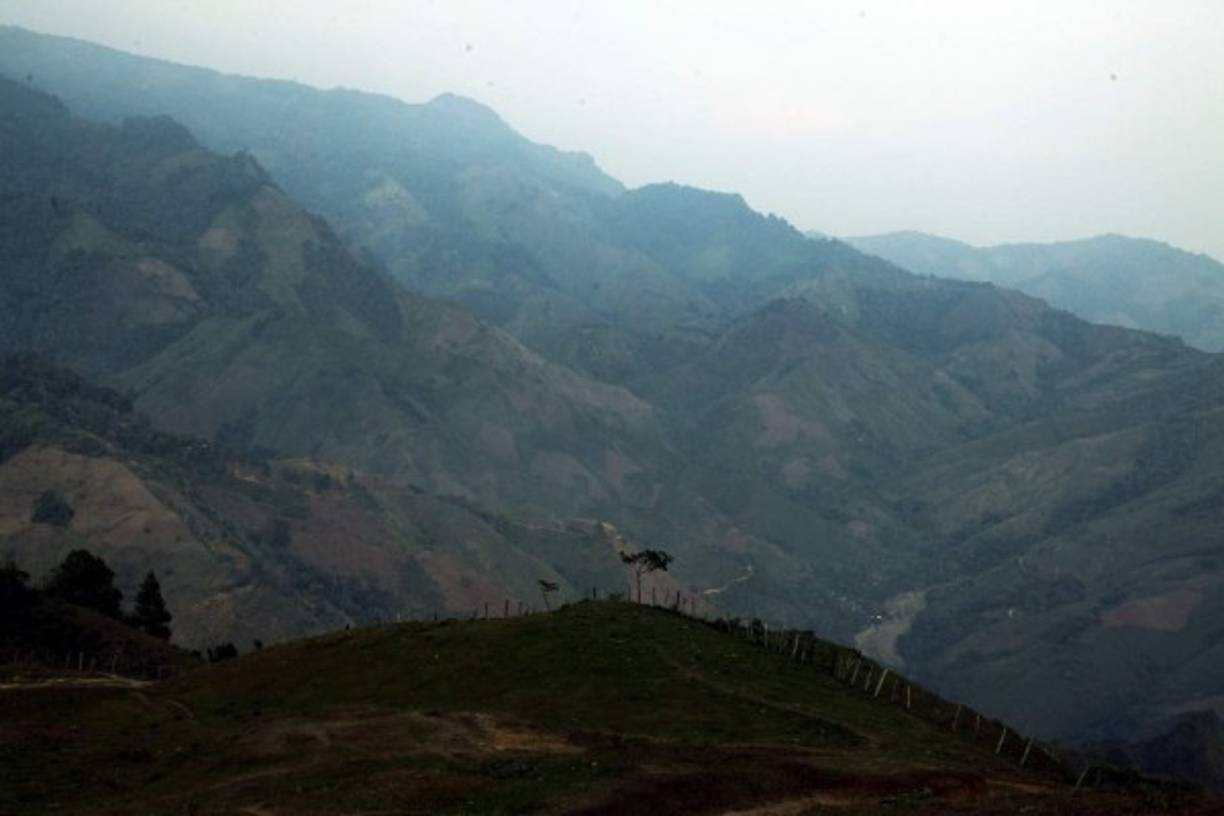 Lo lamentable de la siembra es que está acabando con los árboles, a pesar de ser una área protegida.