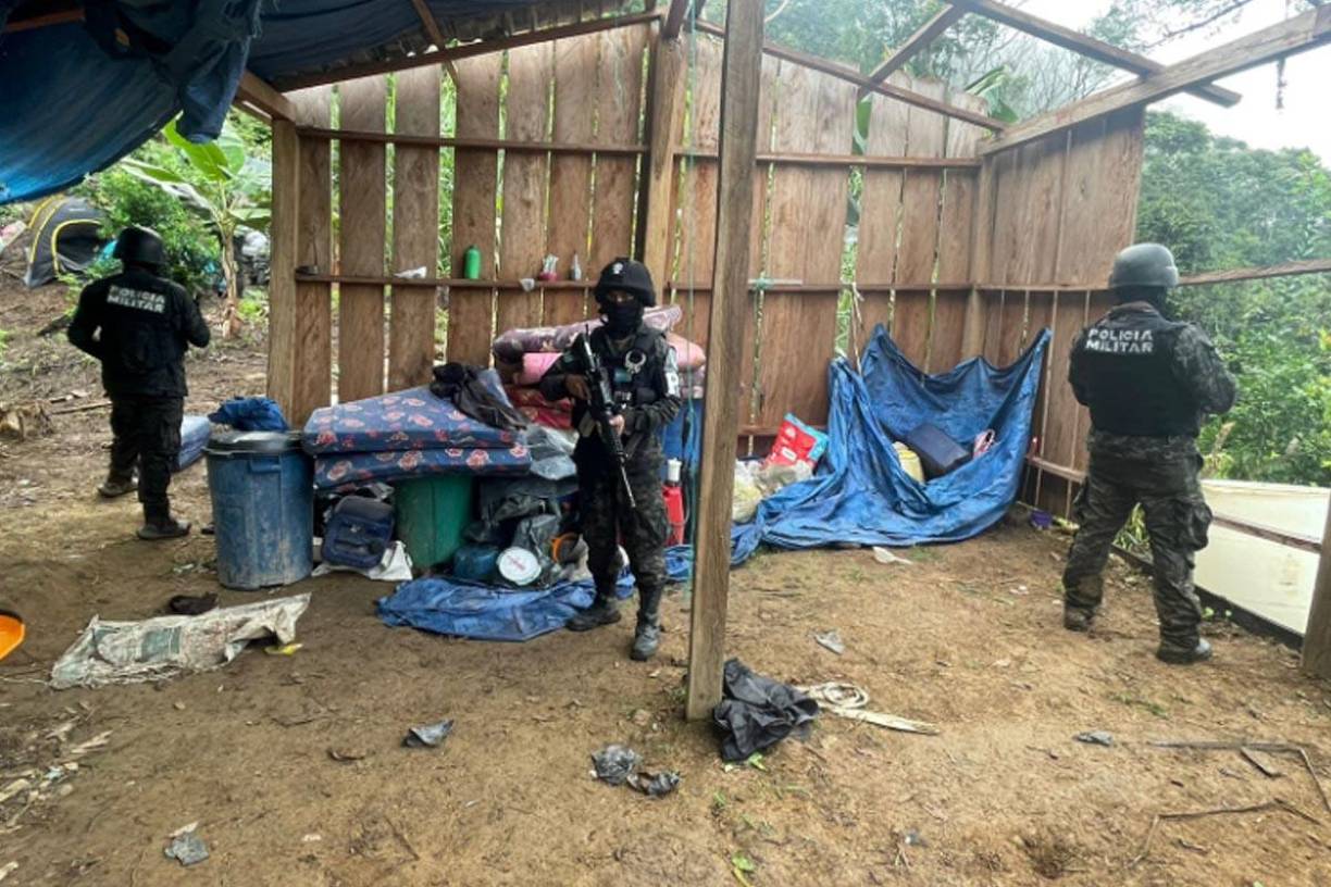 Hallan campamento de narcos y plantas de coca en Olanchito