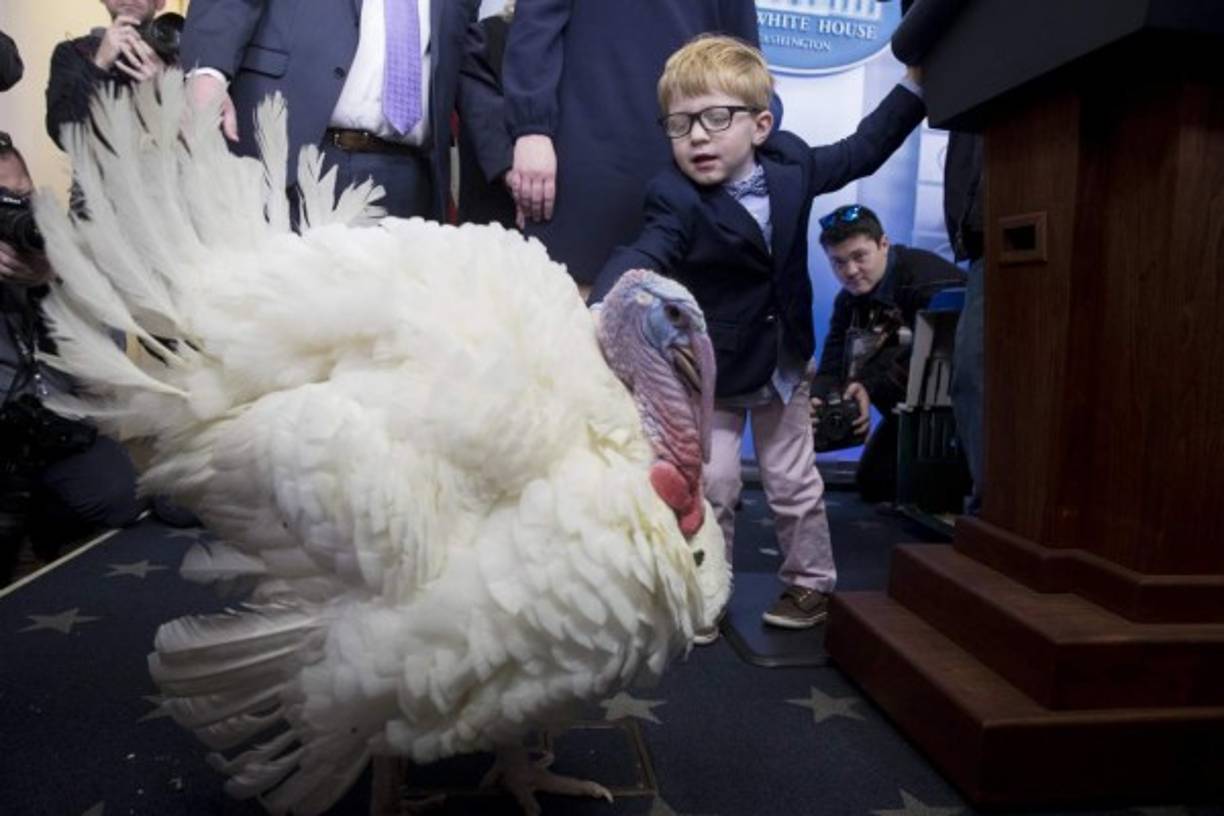 Huck, el hijo de la portavoz de la Casa Blanca Sarah Huckabee Sanders, posa junto a uno de los pavos indultados.