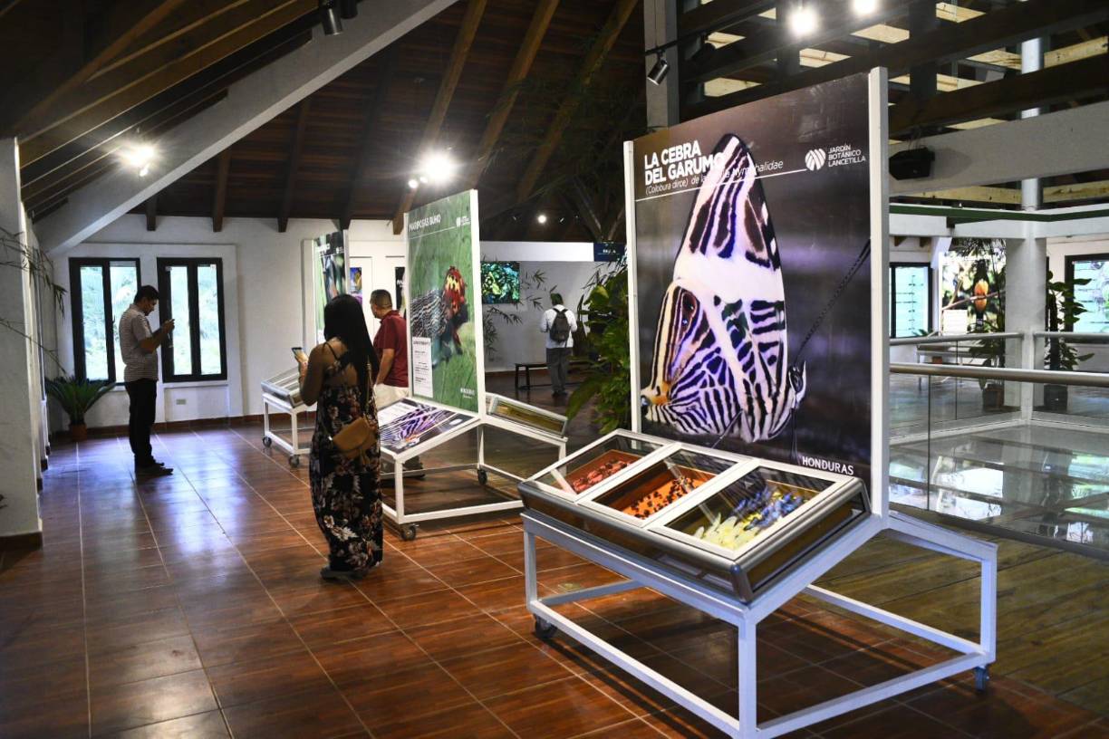 “Son más de 50,000 visitantes nacionales e internacionales que recorren anualmente este santuario natural y es por esa razón que hemos decidido emprender la iniciativa de modernización de este recinto. 