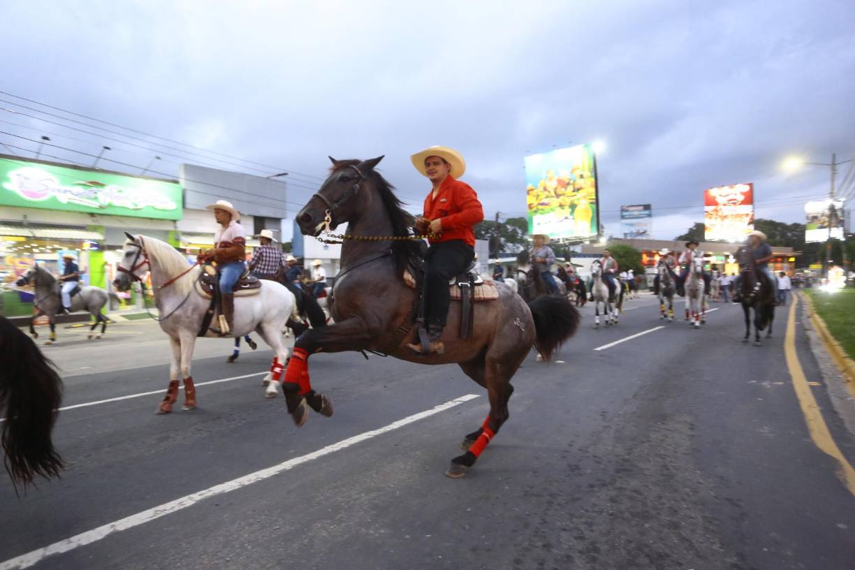 Los caballos pura sangre portaron distintivos en las patas para hacer notar sus pasos elegantes.
