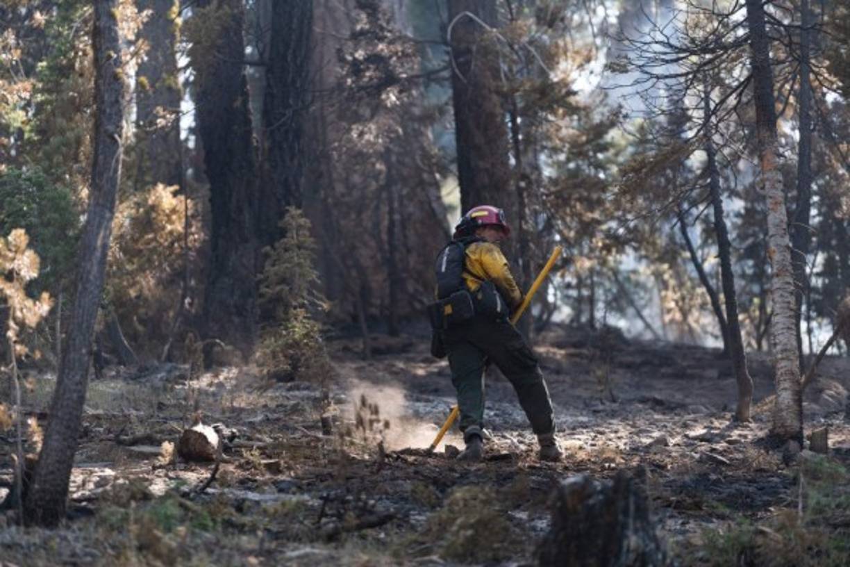 El de Oregón es el mayor de los más de 80 grandes incendios activos en el oeste de Estados Unidos y Canadá, en un mes de julio particularmente seco y caluroso que ha hecho que la temporada de fuegos en la zona -que normalmente se circunscribía a septiembre, octubre y noviembre- se haya adelantado varios meses.