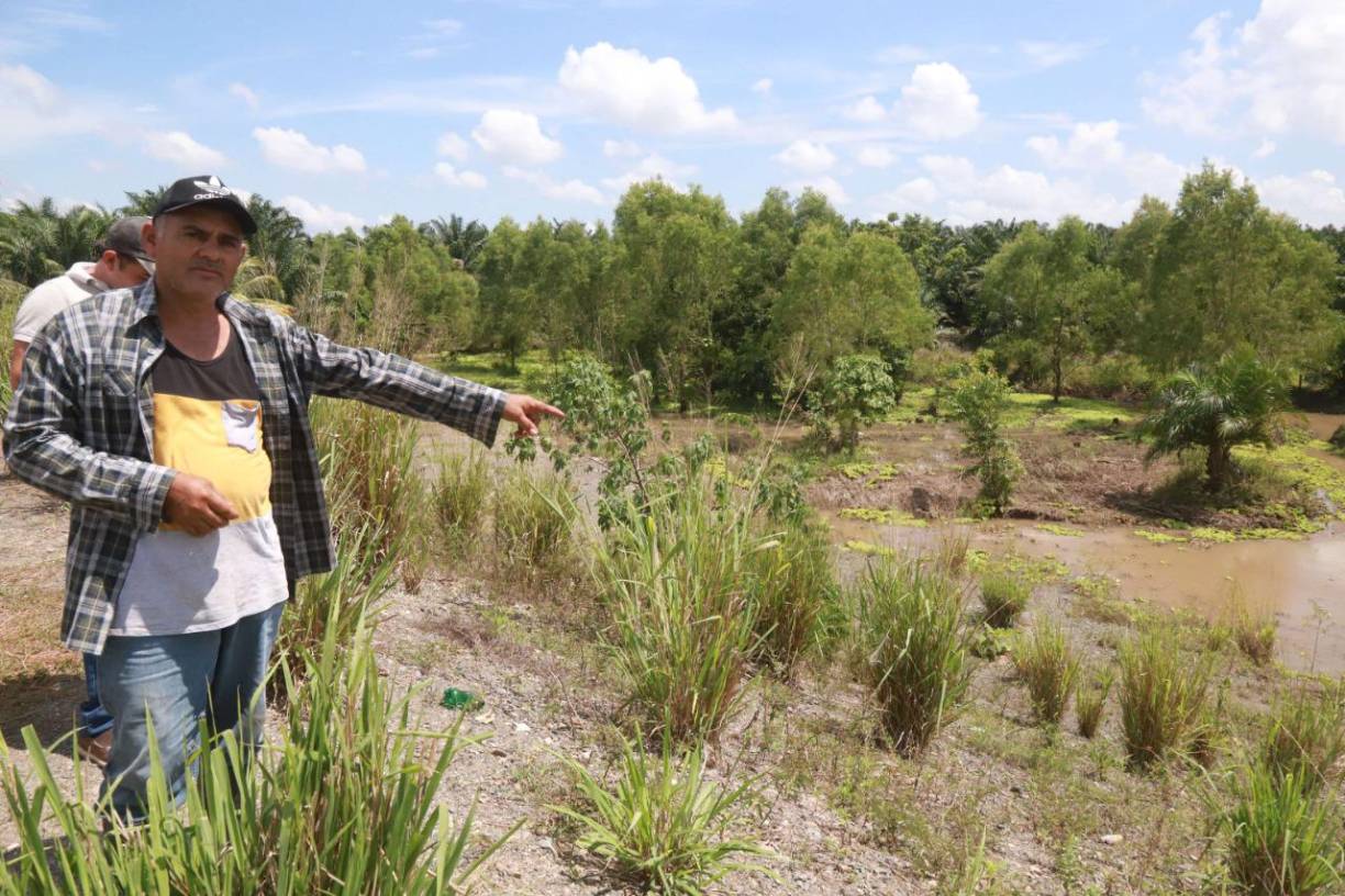 Mauricio Ramos, titular de la Secretaría de Infraestructura y Transporte (SIT), declaró que se han invertido 300 millones de lempiras en atender las emergencias ocasionadas por las lluvias, incluyendo las obras que han ejecutado en el valle de Sula.