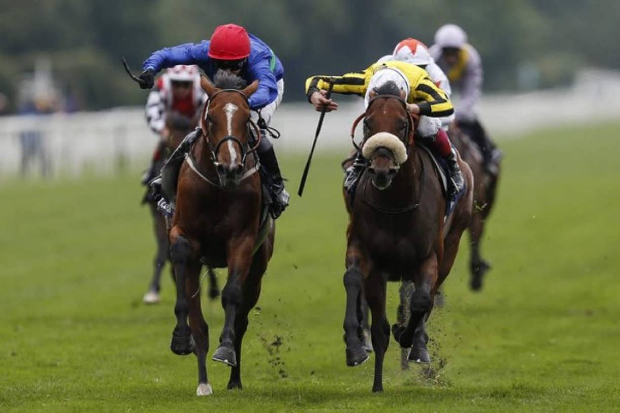 CARRERA. Batalla equina. David Allan (azul), que monta Wells Fargo, deja en el camino a James Garfield (amarillo) con Stakes en el hipódromo de York, Inglaterra.