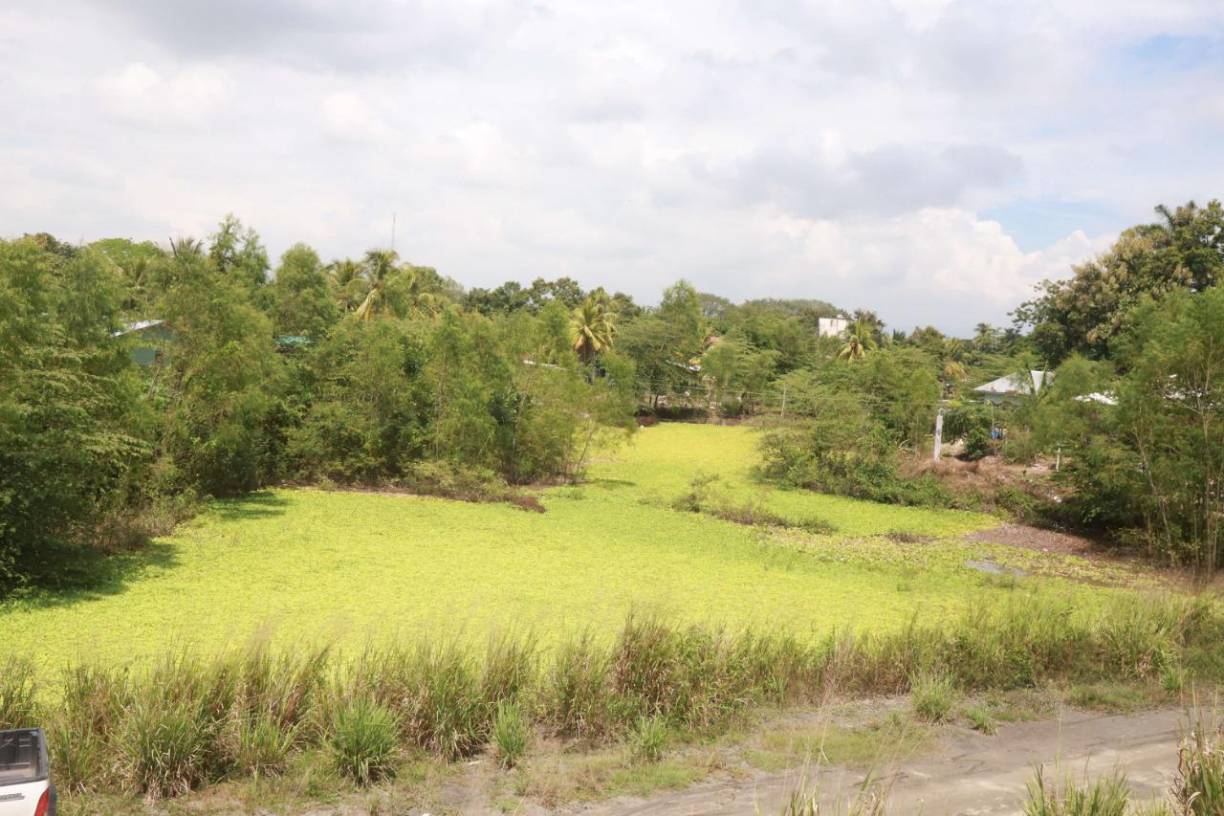 “Nosotros no dormimos cuando llueve porque el boquete se rebalsa y llena las casas. Las autoridades dijeron que iban a reparar el boquete, pero encima del agua tiraron balastre. Desde el año pasado no han venido a reparar, se oyen los rumores de que vendrán, pero no sabemos”, aseguró Ayala.