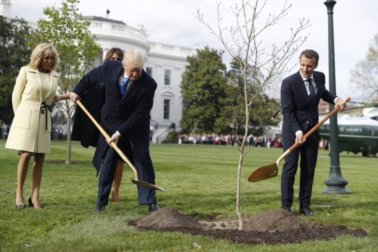 Acompañados por sus esposas Melania Trump y Brigitte Macron, ambos líderes iniciaron los protocolos plantando un árbol que el mandatario francés regaló a su homólogo estadounidense.