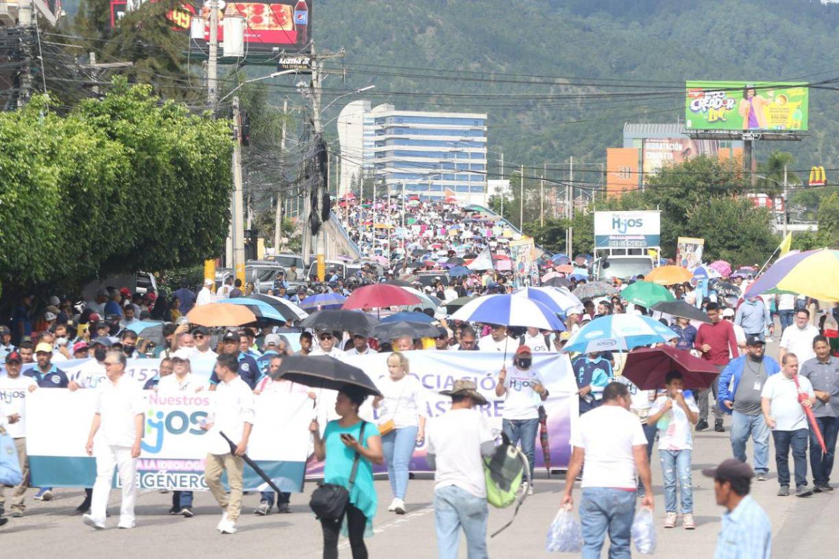 Los manifestantes, entre ellos muchos niños, portaban banderas nacionales en azul y blanco y pancartas con mensajes contra la ideología de género y la implementación de la Ley de Educación Integral de Prevención al Embarazo Adolescentes.