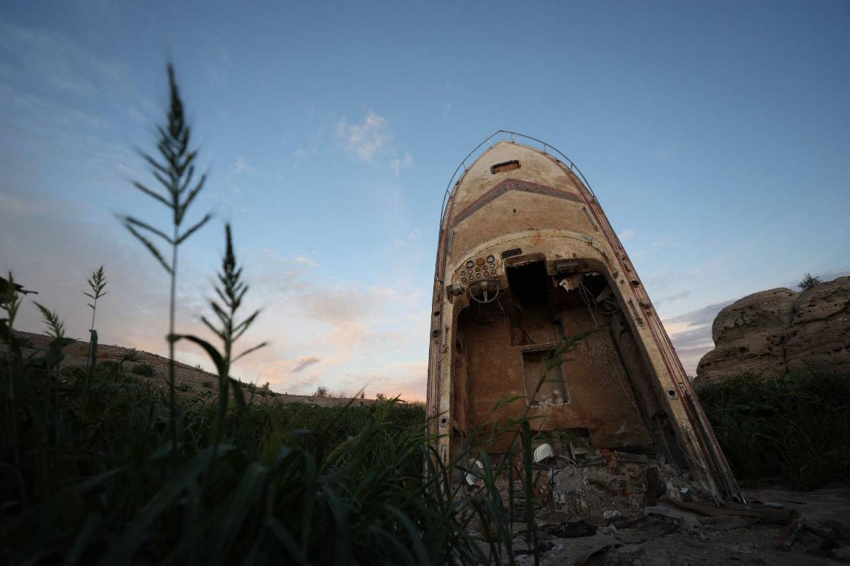 El aumento de la temperatura del agua y el bajo nivel de los ríos crean, según los expertos, una combinación tóxica para los peces y para otros animales.