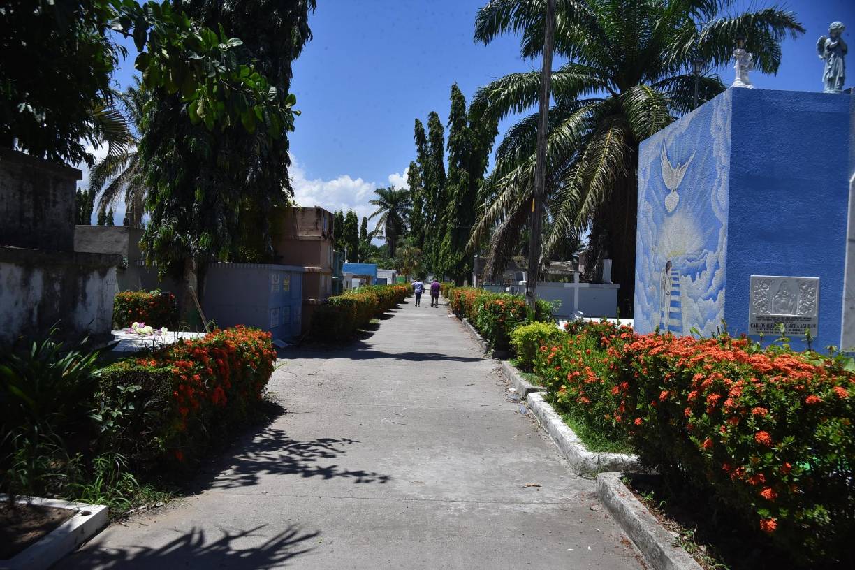 Don Francisco Matute fue el primer gobernador político en 1902 cuando se creó el departamento de Atlántida. Es otra de las personalidades que también está sepultada en el cementerio de barrio Mejía. Es recordado ya que era un reconocido doctor que luego fue diputado al Congreso Nacional. Siendo congresista introdujo un 13 de febrero una iniciativa para crear otro departamento en el país, naciendo así el departamento de Atlántida. 