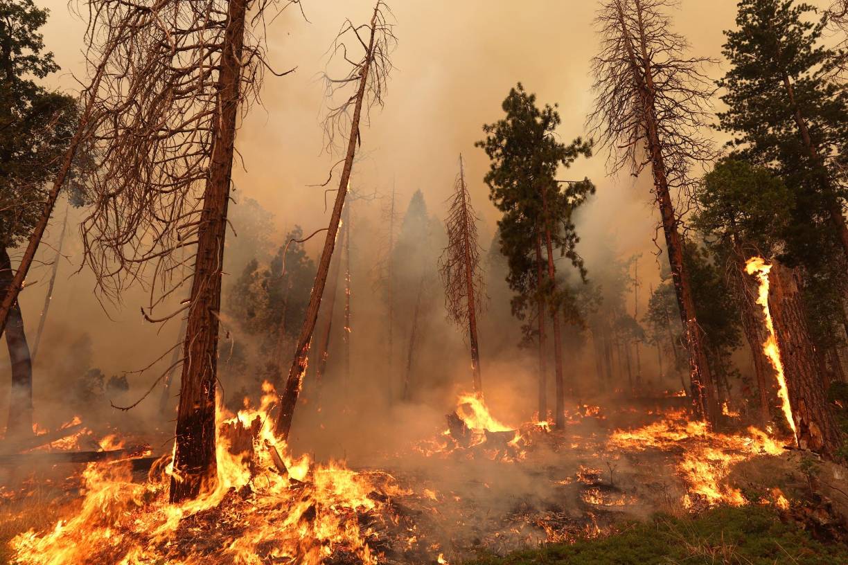 El Servicio Forestal estadounidense consiguió alejar esas llamas de las icónicas secuoyas de Yosemite, pero el fuego se extendió hacia el este hasta acercarse a otro parque protegido, el Sierra National Forest.