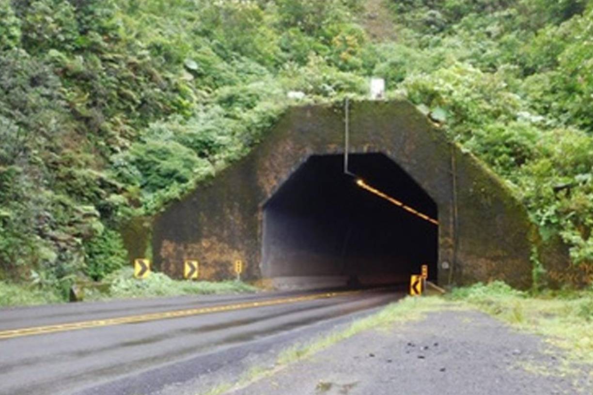 Algunas horas después, tomó un Uber, hasta su casa, una cámara captó su llegada, específicamente, se le ve bajarse del Uber, pero la imagen se pierde a 25 metros de su casa, por lo que no se sabe más de ella.