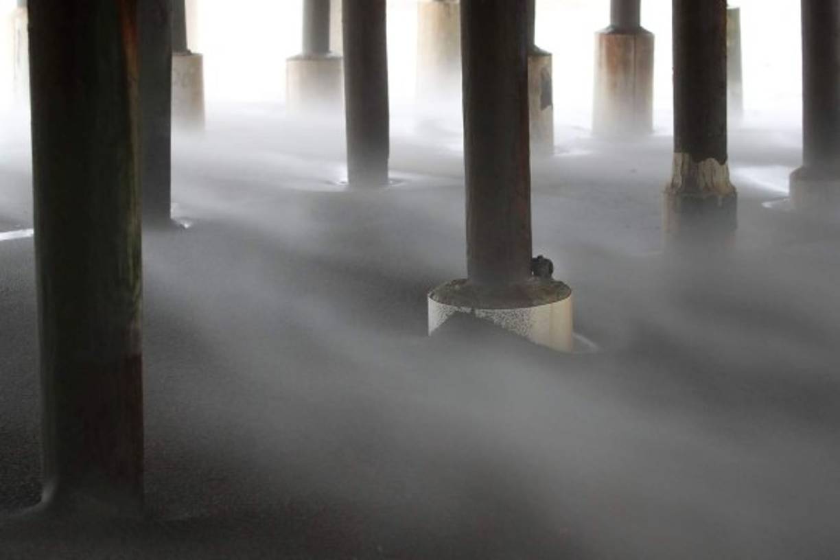 Un ave se protege de las inclemencias del tiempo entre los postes que sostienen un muelle en Cocoa Beach.