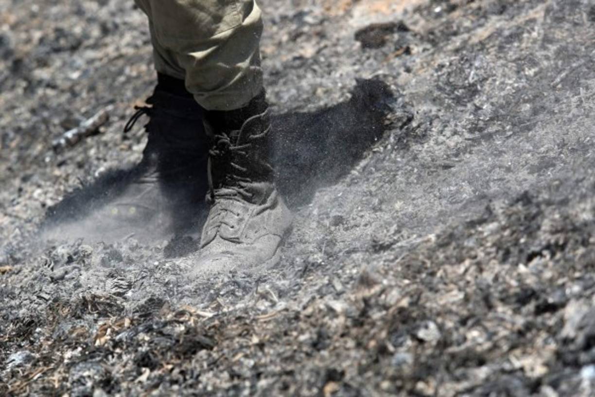La capa de ceniza hace que las botas se hundan al caminar por el bosque quemado.