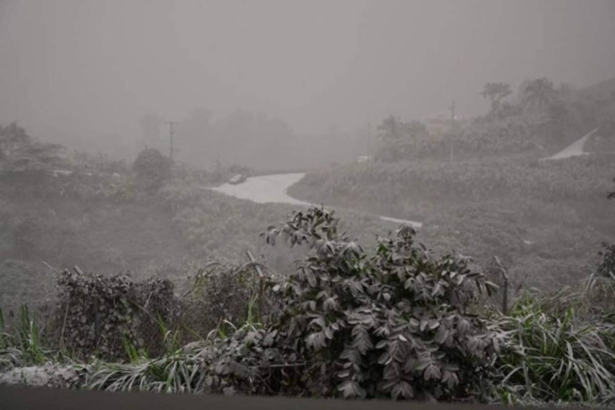 La Soufriere, de 1.235 metros de altura, no había entrado en erupción desde 1979, y su mayor erupción ocurrió hace más de un siglo, en 1902, cuando murieron más de mil personas.