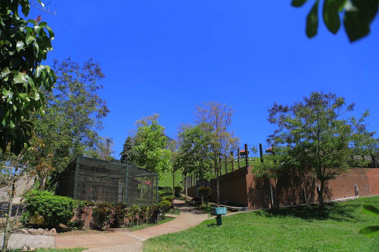 Aunque es una gran variedad de animales las que tiene Joya Grande, “Big Boy” era el atractivo especialmente de los niños.