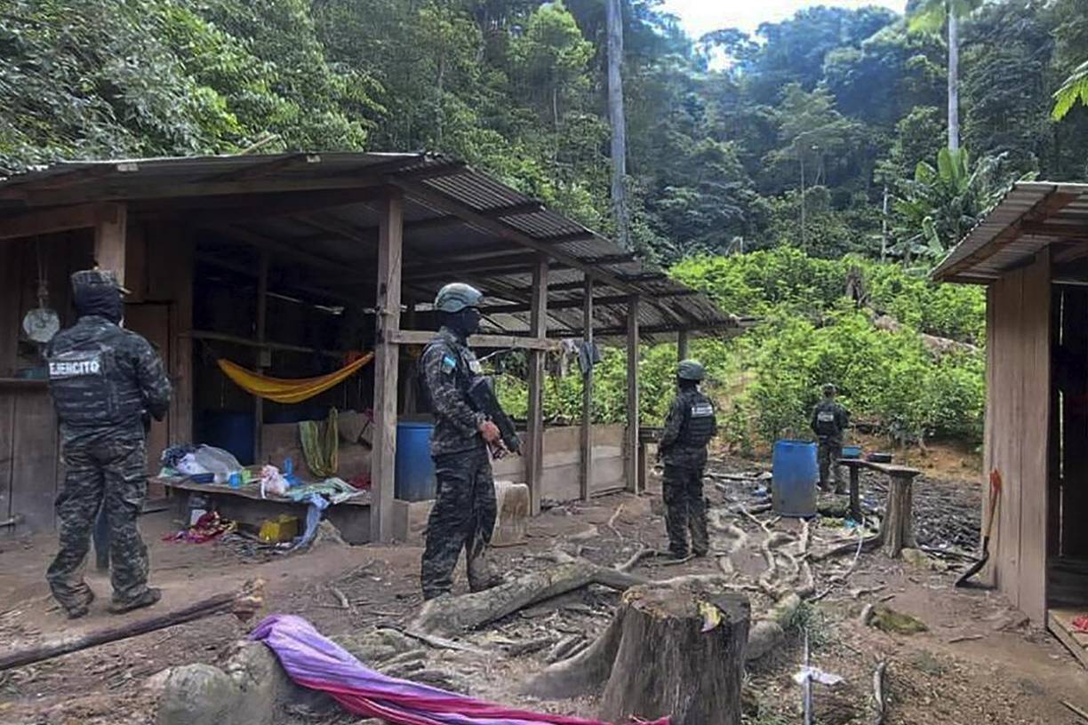 En el lugar del decomiso los elementos de las Fuerzas Armadas además encontraron un narcolaboratorio en el cual hallaron los precursores químicos para elaborar la pasta de coca.