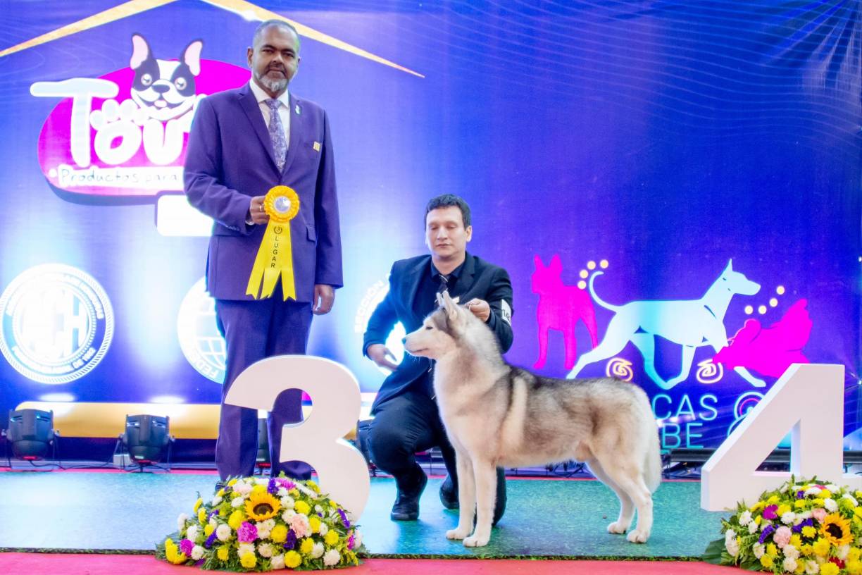 También apareció en el calendario canino centroamericano de 2023.