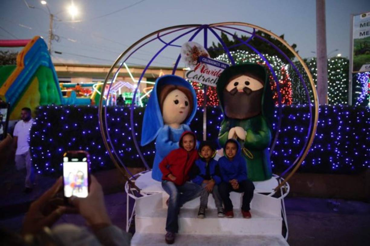 Esta área cuenta con un vistoso árbol que llama la atención y que fascina a todos los visitantes.
