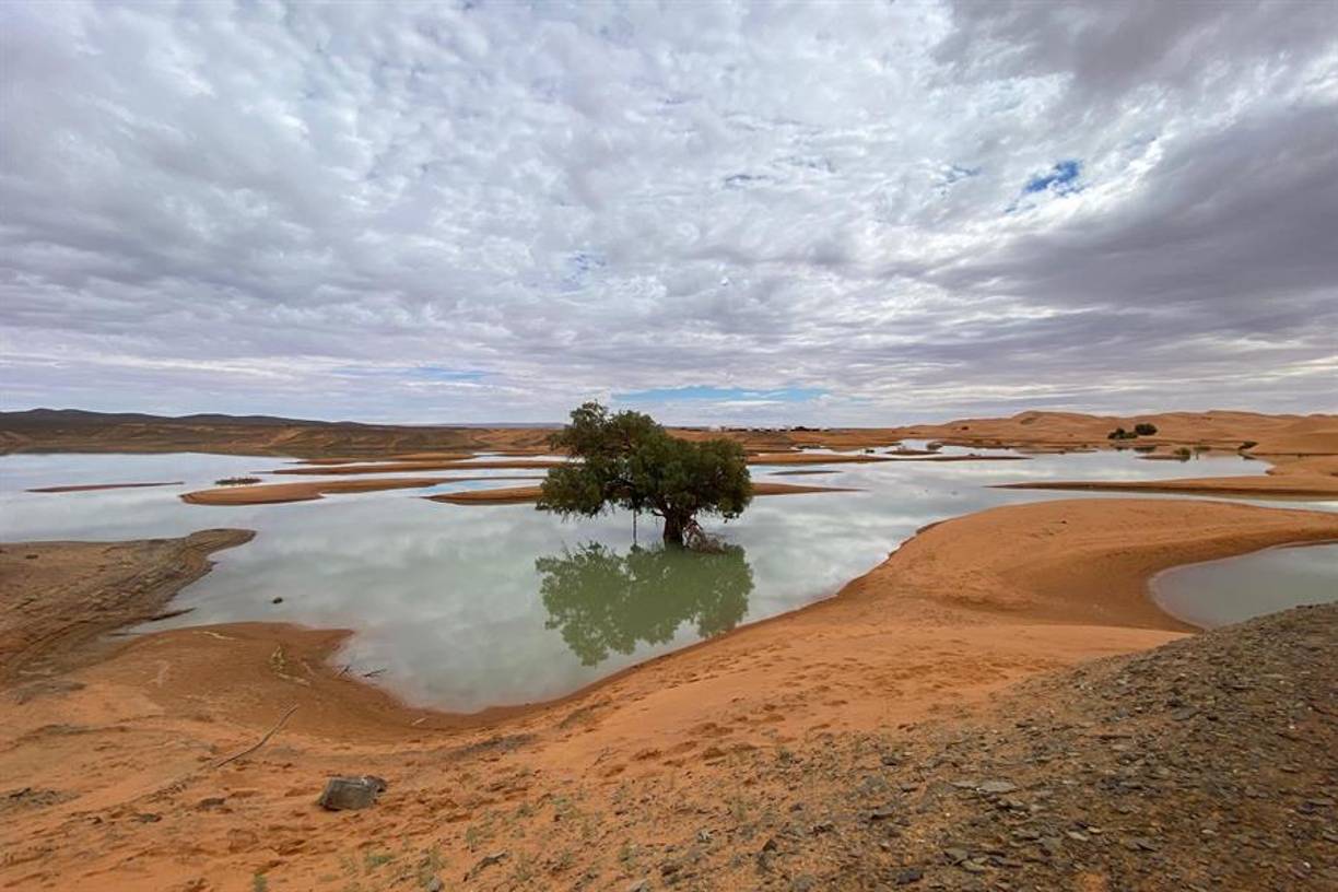 Las lluvias fuertes y excepcionales que azotaron el pasado mes el Sáhara han creado lagunas de agua en medio de las dunas del desierto marroquí de Merzouga y han resucitado un lago seco durante más de cincuenta años en la provincia de Zagora.