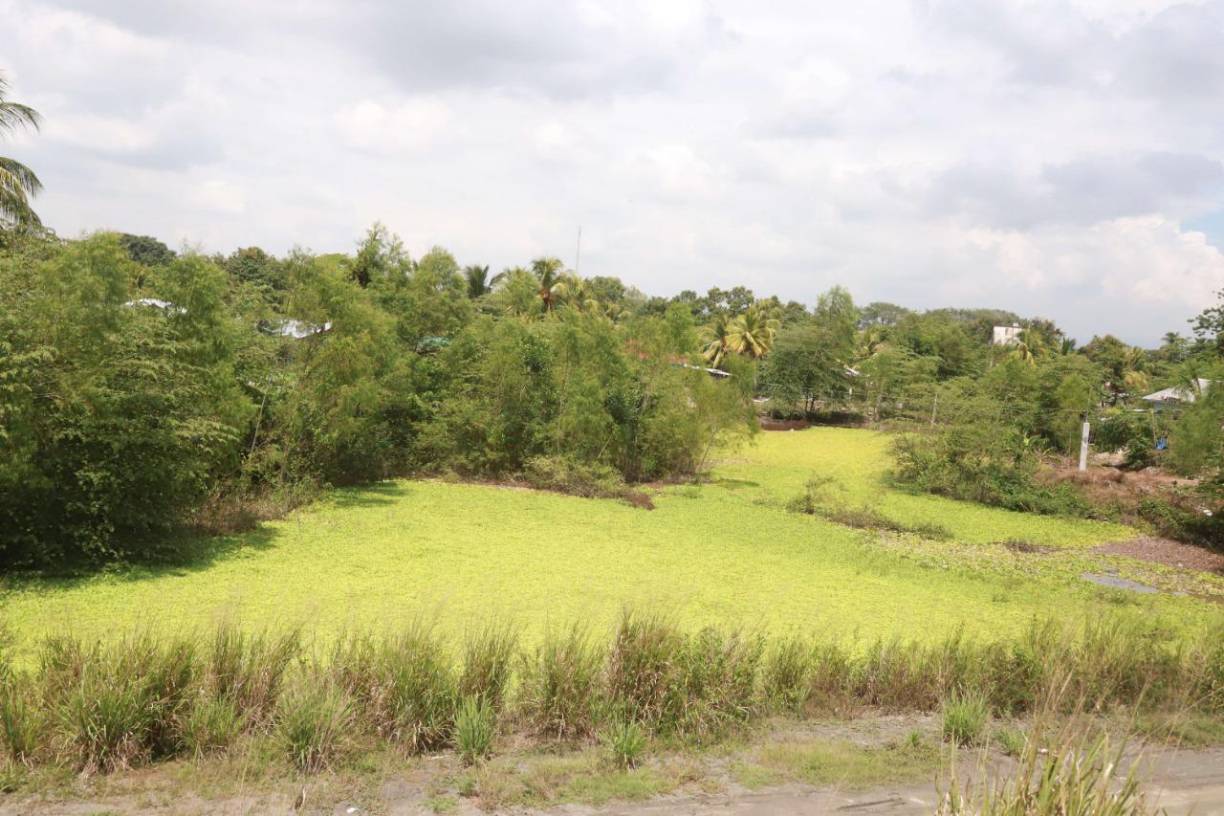 En una visita que hizo el ministro del Fondo Hondureño de Inversión Social (Fhis), Octavio Pineda, a San Pedro Sula anunció que estaban en licitación 21 obras para proteger al valle de Sula.Cardona confirmó que ya fueron licitados y que solo falta el proceso de adjudicación para que inicie la ejecución.