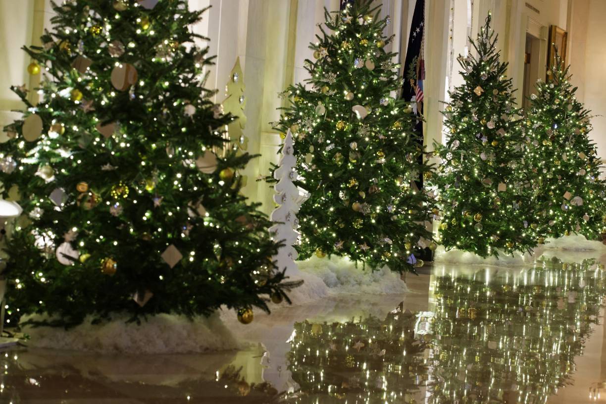 “Durante los últimos dos años, he viajado a casi 40 estados, a condados rurales y grandes ciudades. Una y otra vez, los estadounidenses que he conocido me han mostrado el alma de nuestra nación”, agregó.