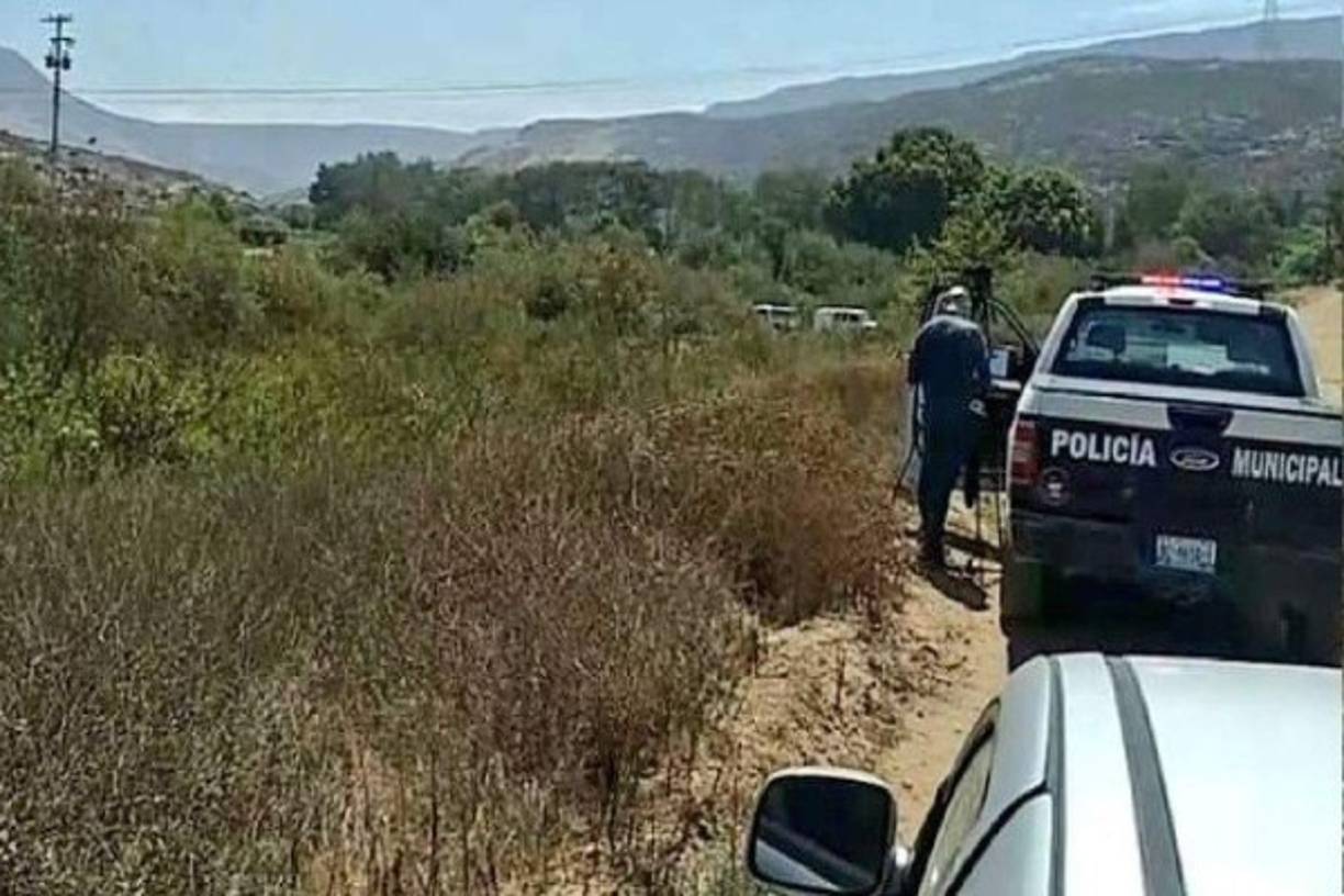 Coleman fue arrestado por agentes de la Patrulla Fronteriza cuando trataba de ingresar a Estados Unidos. Confesó el crimen y reveló a las autoridades donde había dejado los cuerpos de los menores, que fueron hallados por policías mexicanos.