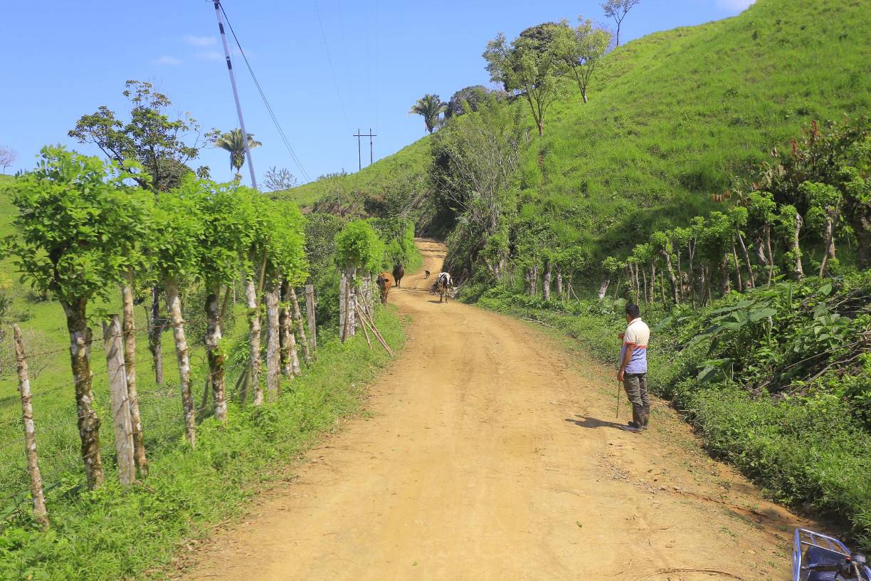 Por los caminos informales que atraviesan sus propiedades y que conectan el suelo guatemalteco, ciertos propietarios dijeron escuetamente haber visto pasar “personas y movimientos raros”.